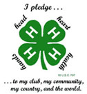 4H